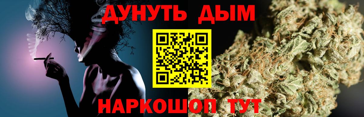Каннабис план Норильск